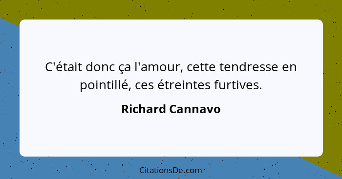 C'était donc ça l'amour, cette tendresse en pointillé, ces étreintes furtives.... - Richard Cannavo