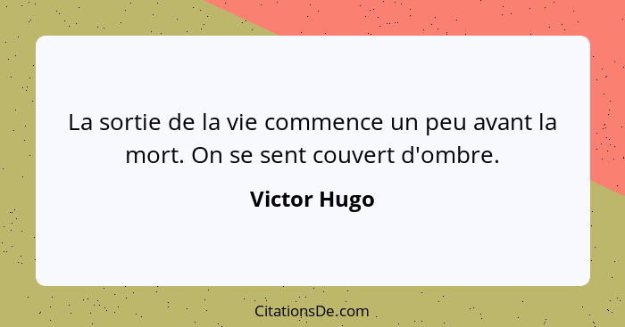 La sortie de la vie commence un peu avant la mort. On se sent couvert d'ombre.... - Victor Hugo