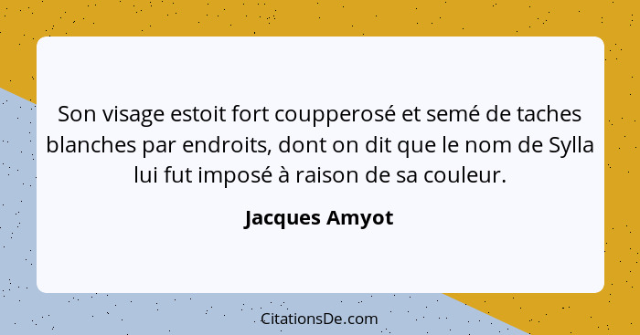 Son visage estoit fort coupperosé et semé de taches blanches par endroits, dont on dit que le nom de Sylla lui fut imposé à raison de... - Jacques Amyot