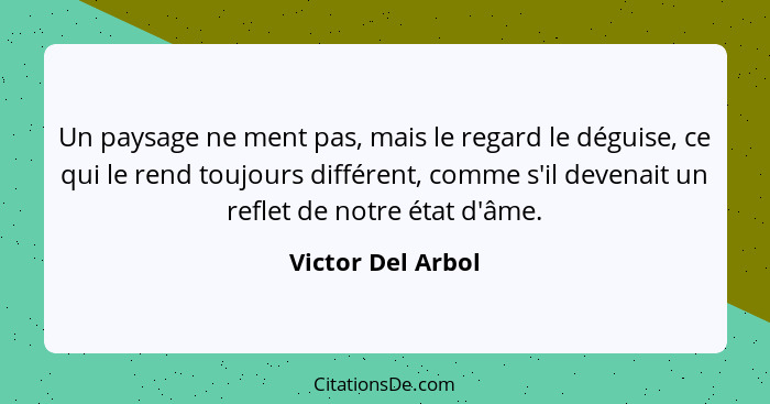 Un paysage ne ment pas, mais le regard le déguise, ce qui le rend toujours différent, comme s'il devenait un reflet de notre état d... - Victor Del Arbol