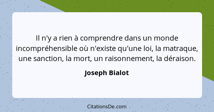 Il n'y a rien à comprendre dans un monde incompréhensible où n'existe qu'une loi, la matraque, une sanction, la mort, un raisonnement,... - Joseph Bialot