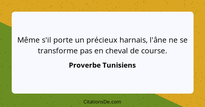 Même s'il porte un précieux harnais, l'âne ne se transforme pas en cheval de course.... - Proverbe Tunisiens