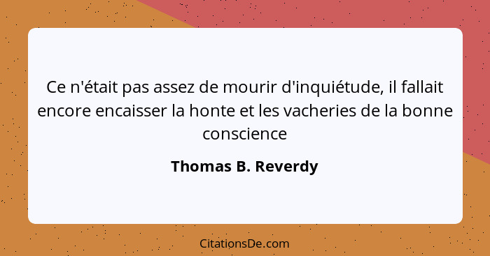 Ce n'était pas assez de mourir d'inquiétude, il fallait encore encaisser la honte et les vacheries de la bonne conscience... - Thomas B. Reverdy