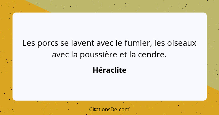 Les porcs se lavent avec le fumier, les oiseaux avec la poussière et la cendre.... - Héraclite