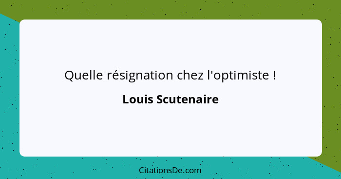 Quelle résignation chez l'optimiste !... - Louis Scutenaire