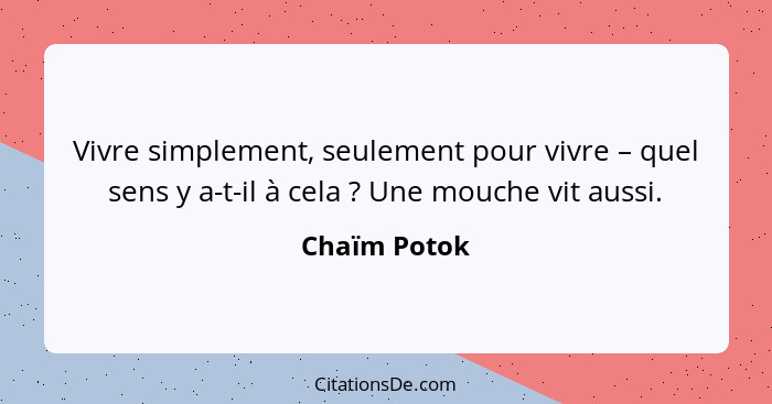 Vivre simplement, seulement pour vivre – quel sens y a-t-il à cela ? Une mouche vit aussi.... - Chaïm Potok