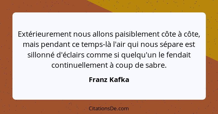 Extérieurement nous allons paisiblement côte à côte, mais pendant ce temps-là l'air qui nous sépare est sillonné d'éclairs comme si quel... - Franz Kafka