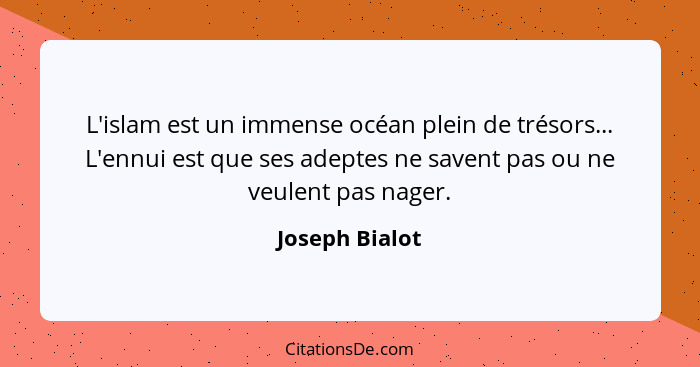 L'islam est un immense océan plein de trésors... L'ennui est que ses adeptes ne savent pas ou ne veulent pas nager.... - Joseph Bialot