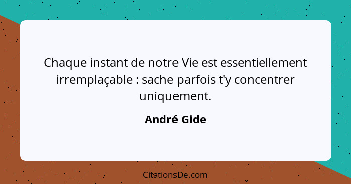 Chaque instant de notre Vie est essentiellement irremplaçable : sache parfois t'y concentrer uniquement.... - André Gide