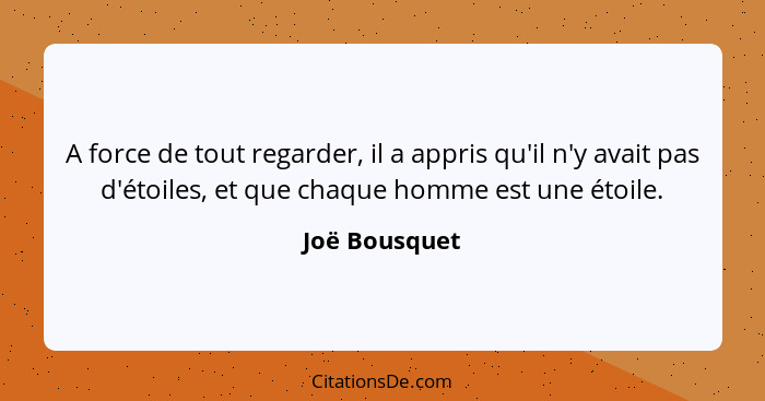 A force de tout regarder, il a appris qu'il n'y avait pas d'étoiles, et que chaque homme est une étoile.... - Joë Bousquet