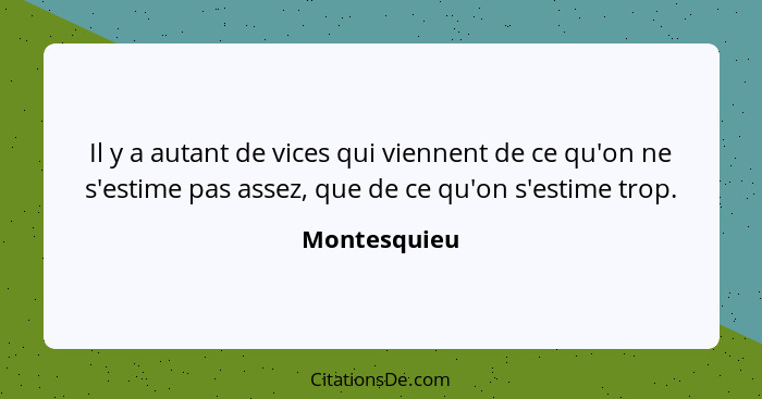 Il y a autant de vices qui viennent de ce qu'on ne s'estime pas assez, que de ce qu'on s'estime trop.... - Montesquieu