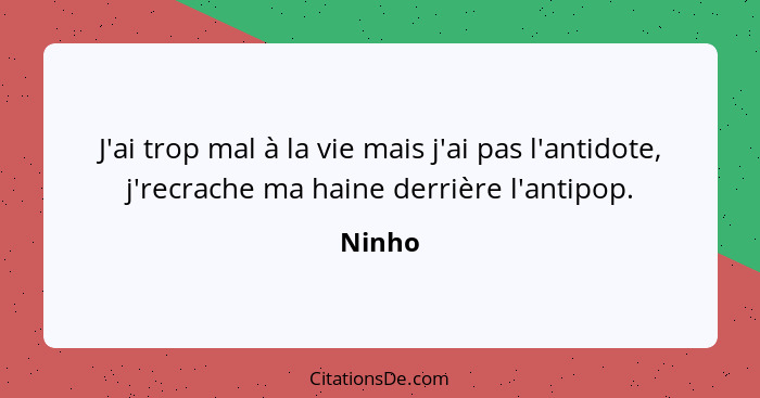 J'ai trop mal à la vie mais j'ai pas l'antidote, j'recrache ma haine derrière l'antipop.... - Ninho