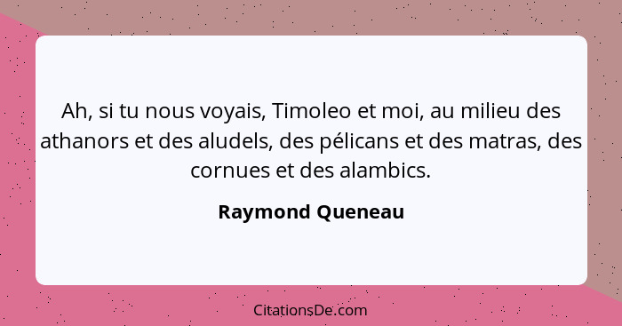 Ah, si tu nous voyais, Timoleo et moi, au milieu des athanors et des aludels, des pélicans et des matras, des cornues et des alambic... - Raymond Queneau