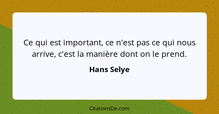 Ce qui est important, ce n'est pas ce qui nous arrive, c'est la manière dont on le prend.... - Hans Selye