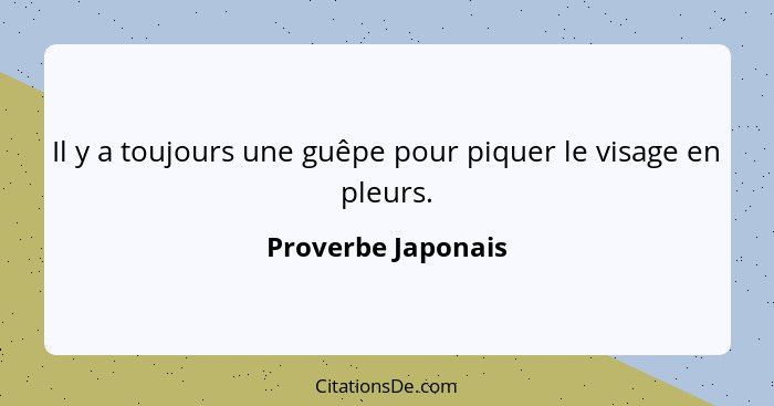 Il y a toujours une guêpe pour piquer le visage en pleurs.... - Proverbe Japonais