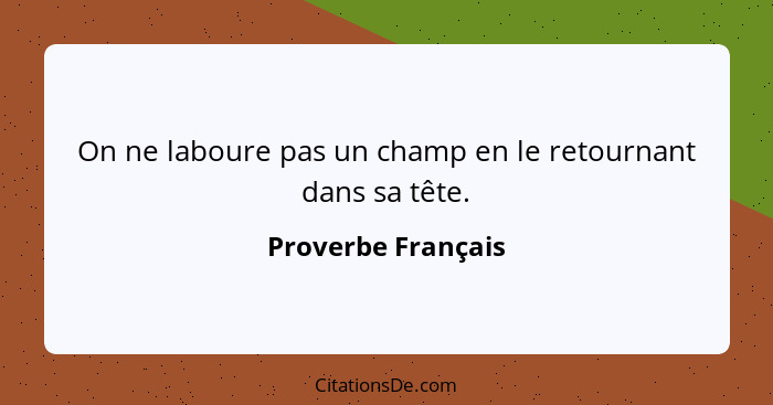 On ne laboure pas un champ en le retournant dans sa tête.... - Proverbe Français