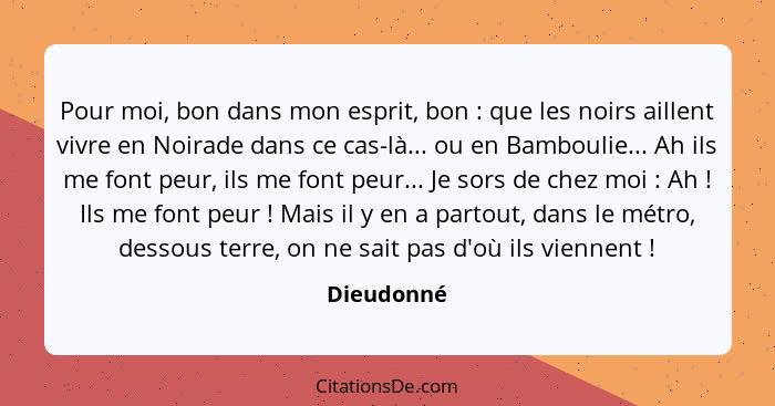 Pour moi, bon dans mon esprit, bon : que les noirs aillent vivre en Noirade dans ce cas-là... ou en Bamboulie... Ah ils me font peur,... - Dieudonné