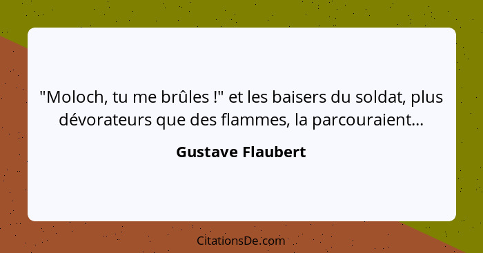 "Moloch, tu me brûles !" et les baisers du soldat, plus dévorateurs que des flammes, la parcouraient...... - Gustave Flaubert