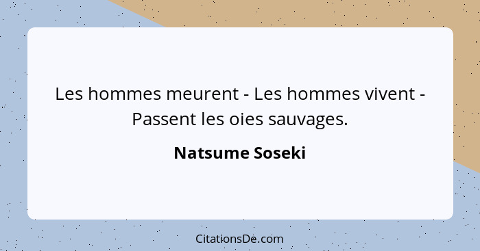 Les hommes meurent - Les hommes vivent - Passent les oies sauvages.... - Natsume Soseki