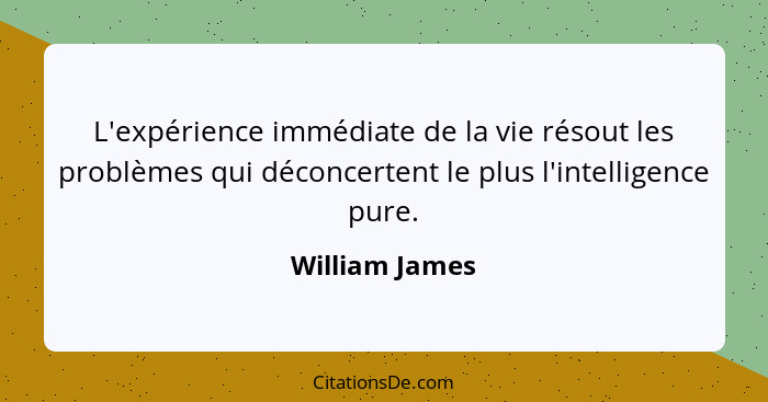 L'expérience immédiate de la vie résout les problèmes qui déconcertent le plus l'intelligence pure.... - William James