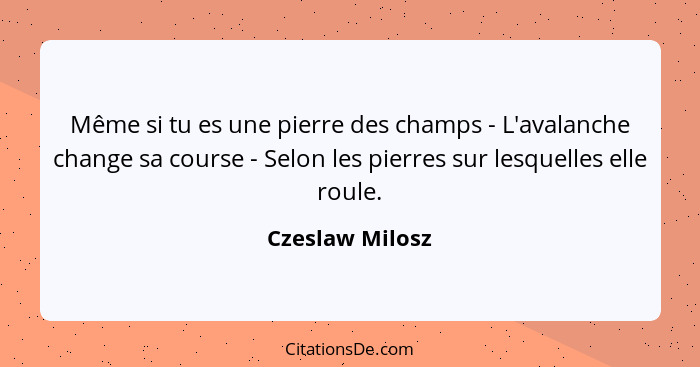 Même si tu es une pierre des champs - L'avalanche change sa course - Selon les pierres sur lesquelles elle roule.... - Czeslaw Milosz