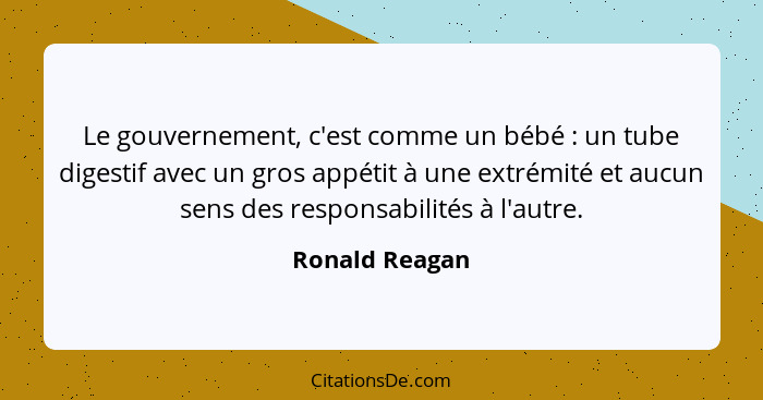 Le gouvernement, c'est comme un bébé : un tube digestif avec un gros appétit à une extrémité et aucun sens des responsabilités à... - Ronald Reagan