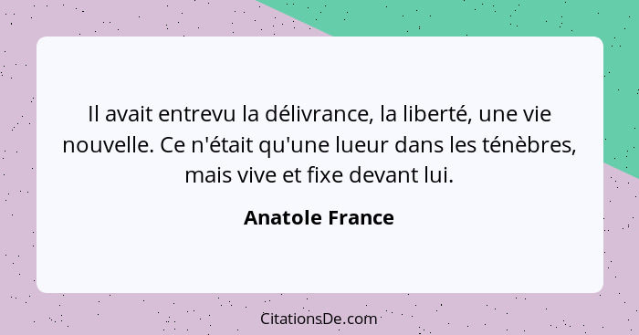 Il avait entrevu la délivrance, la liberté, une vie nouvelle. Ce n'était qu'une lueur dans les ténèbres, mais vive et fixe devant lui... - Anatole France