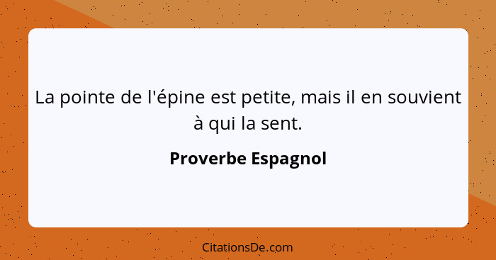 La pointe de l'épine est petite, mais il en souvient à qui la sent.... - Proverbe Espagnol