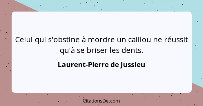 Celui qui s'obstine à mordre un caillou ne réussit qu'à se briser les dents.... - Laurent-Pierre de Jussieu