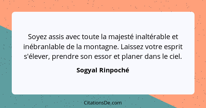 Soyez assis avec toute la majesté inaltérable et inébranlable de la montagne. Laissez votre esprit s'élever, prendre son essor et pl... - Sogyal Rinpoché