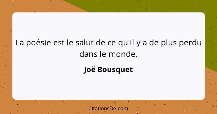 La poésie est le salut de ce qu'il y a de plus perdu dans le monde.... - Joë Bousquet