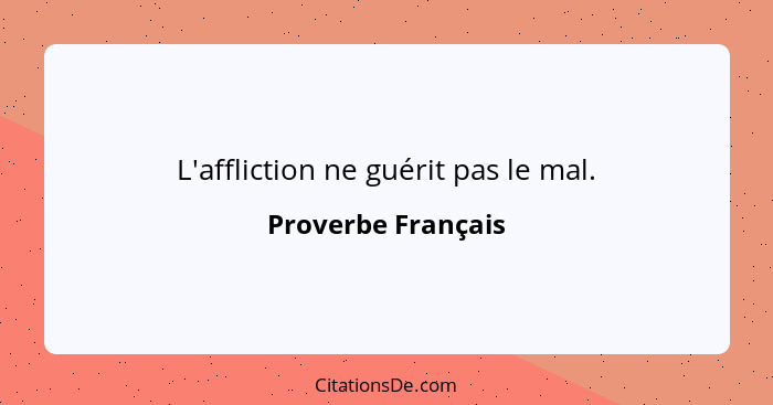 L'affliction ne guérit pas le mal.... - Proverbe Français