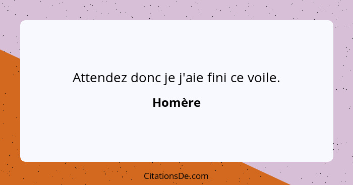 Attendez donc je j'aie fini ce voile.... - Homère