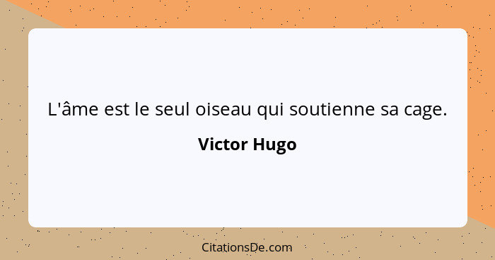 L'âme est le seul oiseau qui soutienne sa cage.... - Victor Hugo