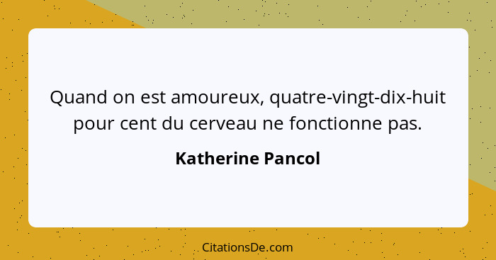 Quand on est amoureux, quatre-vingt-dix-huit pour cent du cerveau ne fonctionne pas.... - Katherine Pancol