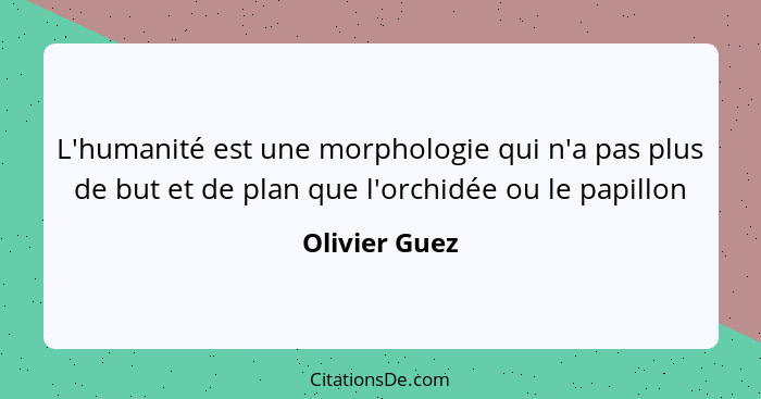 L'humanité est une morphologie qui n'a pas plus de but et de plan que l'orchidée ou le papillon... - Olivier Guez