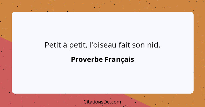 Petit à petit, l'oiseau fait son nid.... - Proverbe Français