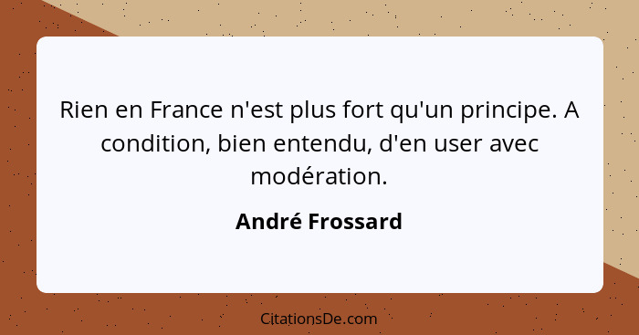 Rien en France n'est plus fort qu'un principe. A condition, bien entendu, d'en user avec modération.... - André Frossard