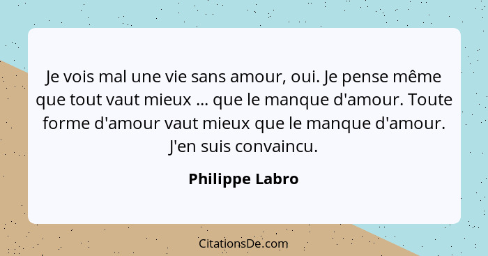 Je vois mal une vie sans amour, oui. Je pense même que tout vaut mieux ... que le manque d'amour. Toute forme d'amour vaut mieux que... - Philippe Labro