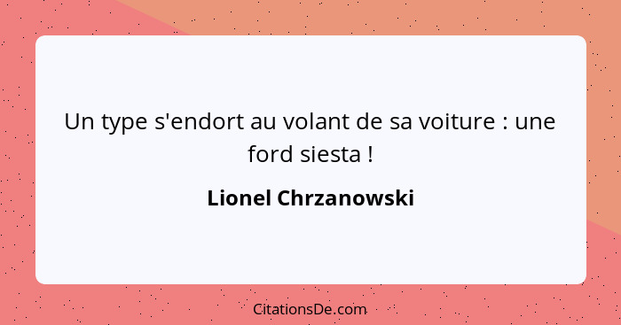 Un type s'endort au volant de sa voiture : une ford siesta !... - Lionel Chrzanowski