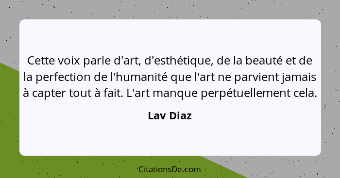 Cette voix parle d'art, d'esthétique, de la beauté et de la perfection de l'humanité que l'art ne parvient jamais à capter tout à fait. L'a... - Lav Diaz