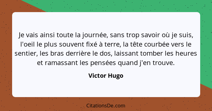 Je vais ainsi toute la journée, sans trop savoir où je suis, l'oeil le plus souvent fixé à terre, la tête courbée vers le sentier, les b... - Victor Hugo