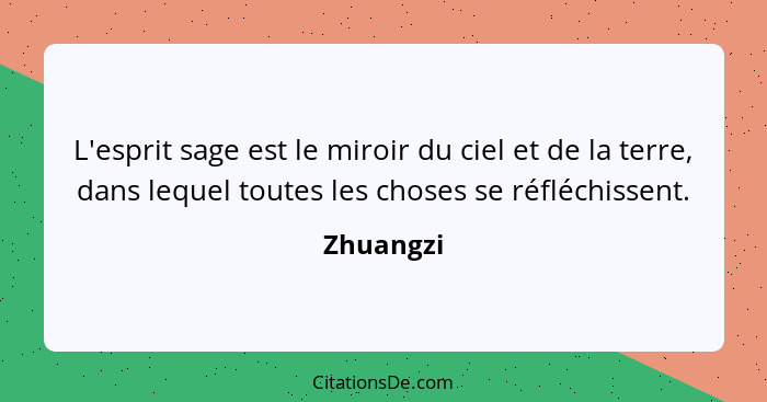 L'esprit sage est le miroir du ciel et de la terre, dans lequel toutes les choses se réfléchissent.... - Zhuangzi