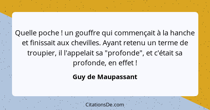 Quelle poche ! un gouffre qui commençait à la hanche et finissait aux chevilles. Ayant retenu un terme de troupier, il l'appe... - Guy de Maupassant