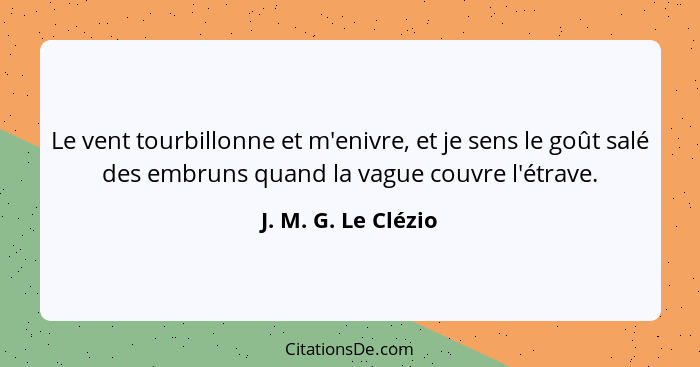 Le vent tourbillonne et m'enivre, et je sens le goût salé des embruns quand la vague couvre l'étrave.... - J. M. G. Le Clézio