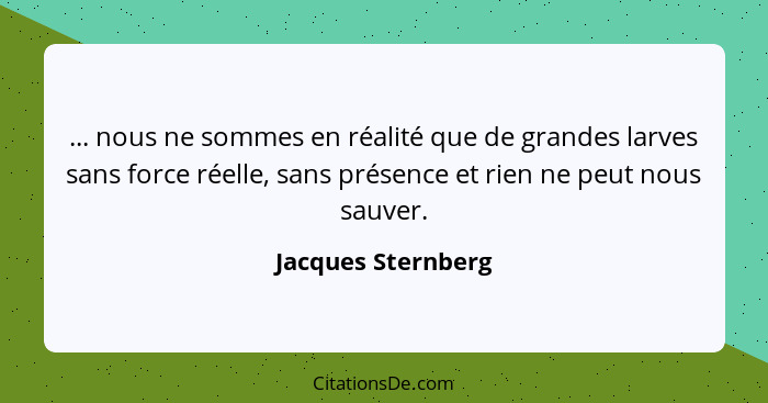 ... nous ne sommes en réalité que de grandes larves sans force réelle, sans présence et rien ne peut nous sauver.... - Jacques Sternberg