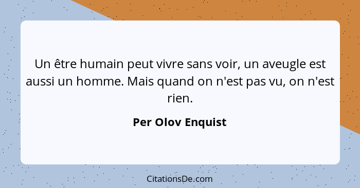 Un être humain peut vivre sans voir, un aveugle est aussi un homme. Mais quand on n'est pas vu, on n'est rien.... - Per Olov Enquist