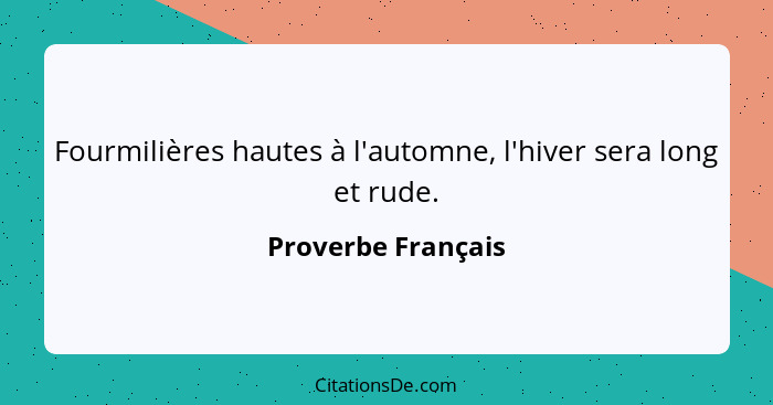 Fourmilières hautes à l'automne, l'hiver sera long et rude.... - Proverbe Français