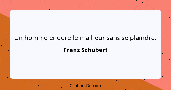 Un homme endure le malheur sans se plaindre.... - Franz Schubert