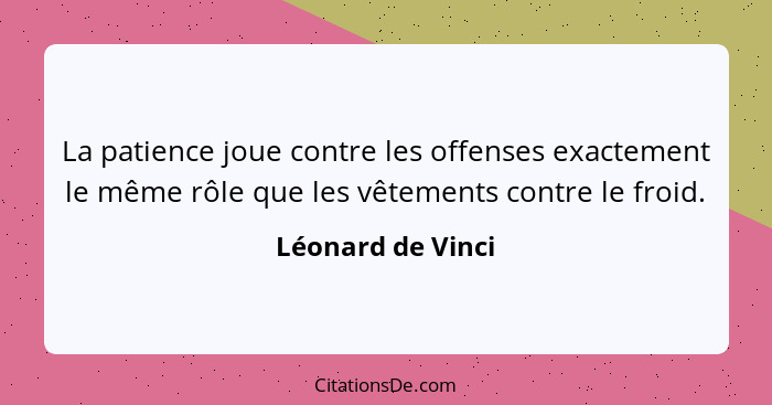 La patience joue contre les offenses exactement le même rôle que les vêtements contre le froid.... - Léonard de Vinci